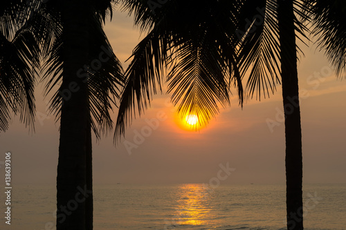 beautiful seascape in early morning with silhouette coconut palm trees. © Tawatchai