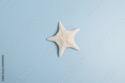 Starfish on blue background