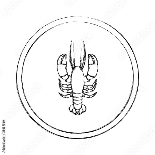 monochrome blurred line contour with lobster in circular frame vector illustration © grgroup