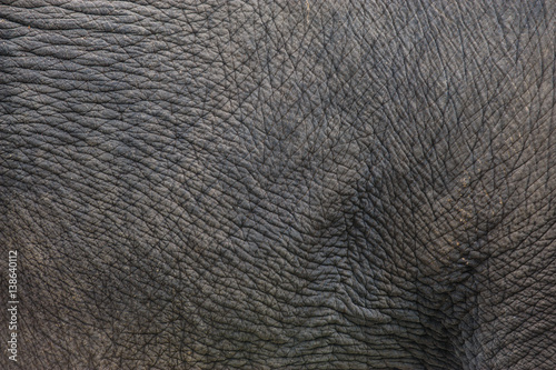 Elephant Skin Texture/patterns