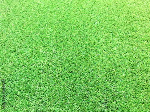 Green artificial grass texture for background and empty space