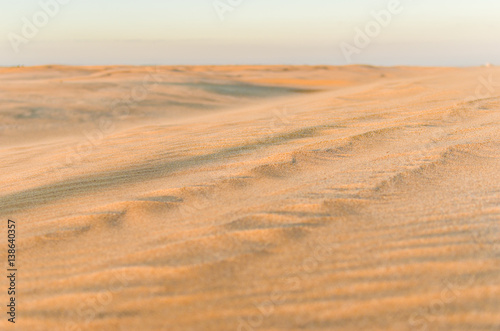 Dune in the desert with yellow sand. Selective focus