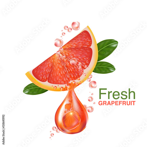 fresh grapefruit vector 