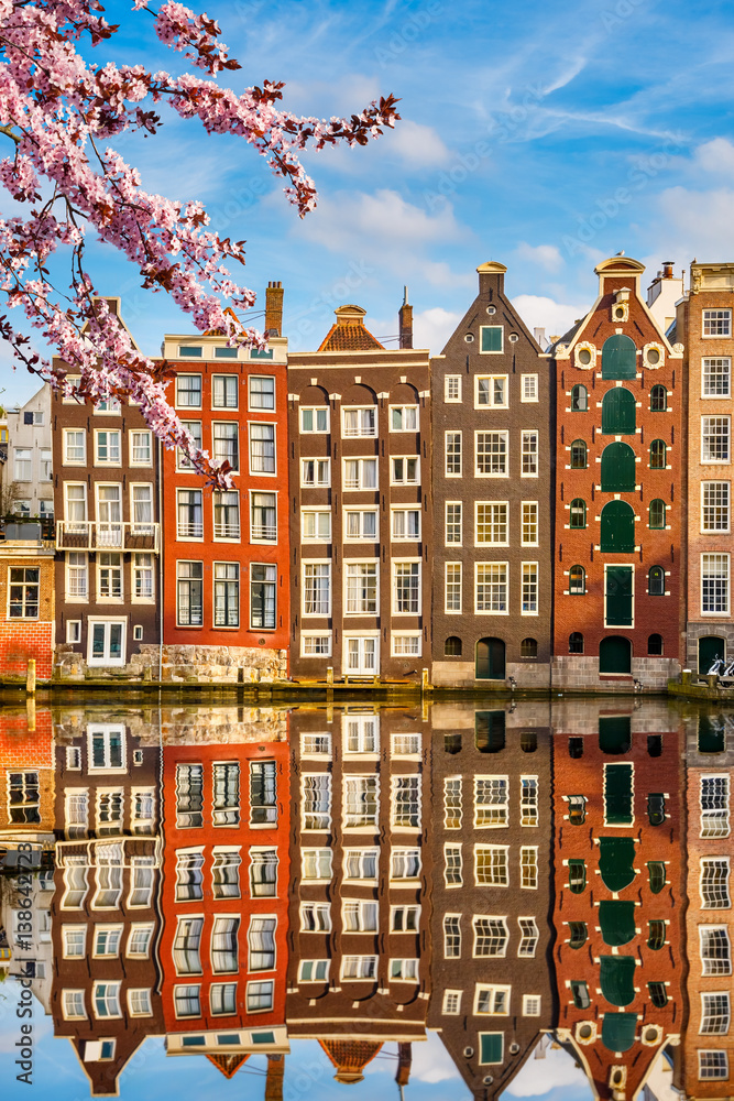 Naklejka premium Tradycyjne stare budynki w Amsterdamie wiosną, Holandia