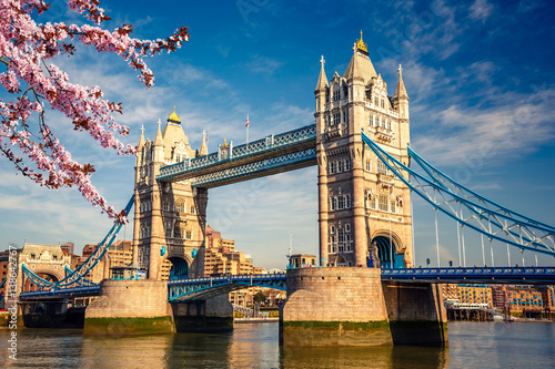 Tower bridge with cherry blossom, London