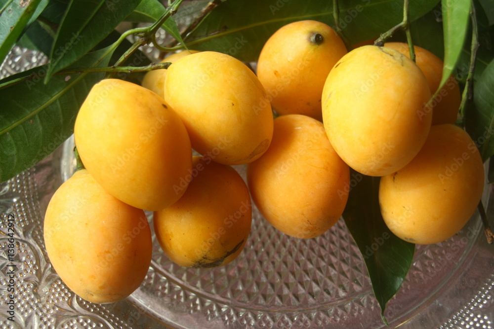 Marian plum Fruit Marian plum Fruit