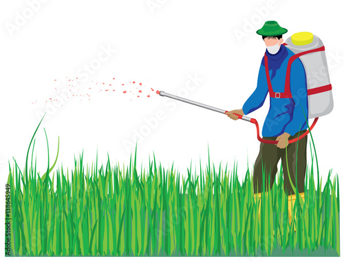 farmer spray rice plant vector design
