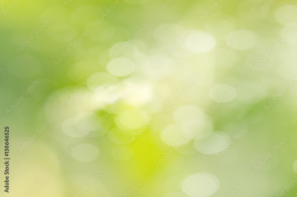 abstract blur green leaf for background