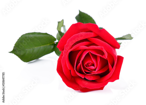 Fototapeta Naklejka Na Ścianę i Meble -  Beautiful red roses on a white background