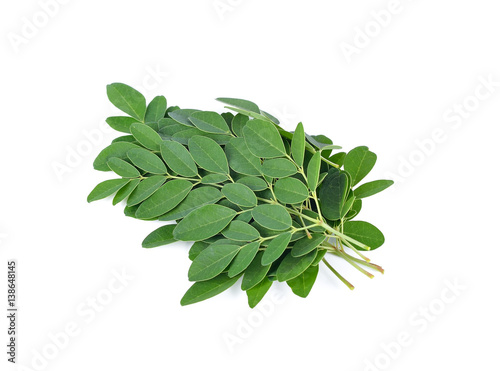 Foto Moringa oleifera leaves isolated on white background