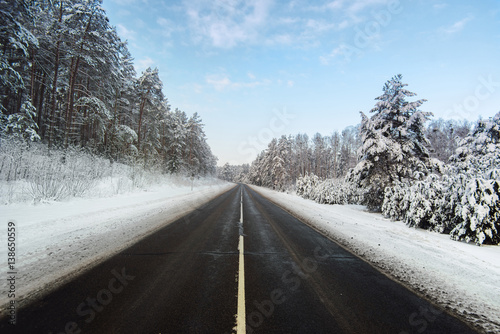 Winter forest and road