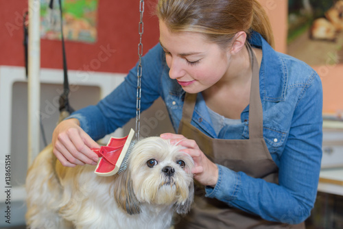a schedule to the pet salon