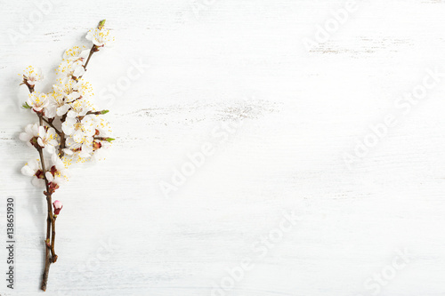 Old wooden shabby background with branches of blossoming apricot
