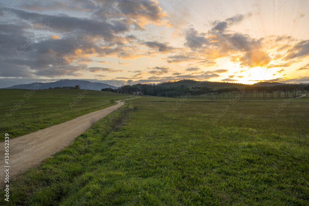 Fototapeta premium Viottolo