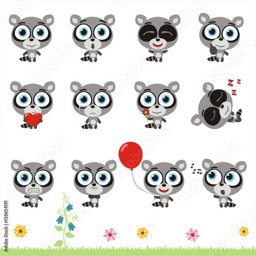 Big set cute little raccoon. Collection isolated cartoon raccoon in different poses.