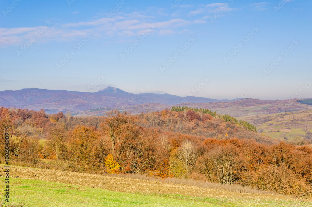 Autumn landscape, trees with colorful leaves, frost on green grass, autumn mountain in fog in the background.