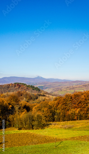 Autumn landscape  trees with colorful leaves  frost on green grass  autumn mountain in fog in the background.