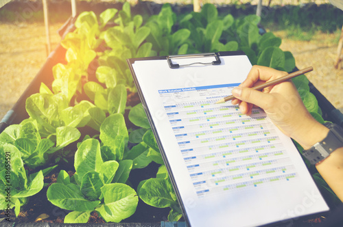 Wallpaper Mural Young women Asian farmers  check the quality of the Product new generation farmer concept. Torontodigital.ca