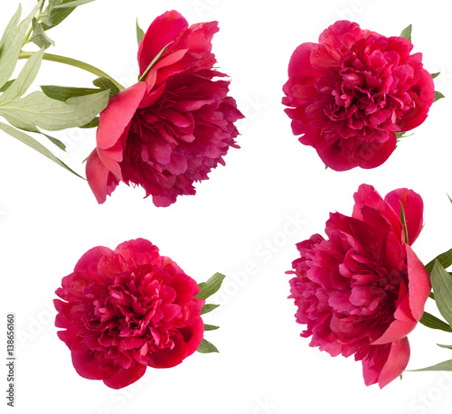 Set the beautiful bouquet of pink peonies © Loraliu