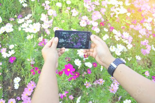 Wallpaper Mural Young beautiful women Close up of hand using cell phone, take the photograph flower tablet in the park Torontodigital.ca