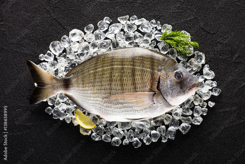 Fresh spanish bream fish (sargo) on ice on a black stone table top view
