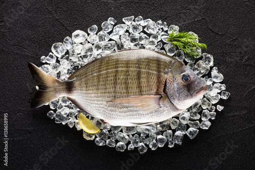 Obraz na płótnie Fresh spanish bream fish (sargo) on ice on a black stone table top view w salonie