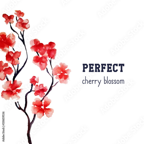 Realistic sakura blossom - Japanese red cherry tree isolated on white background. Vector watercolor painting. Clipping mask. You can move elements. Wedding crad template.