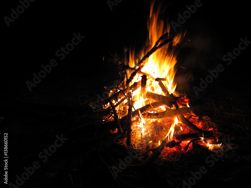 Bonfire campfire in night forest