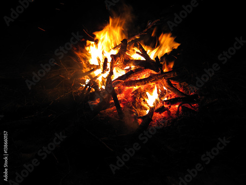 Bonfire campfire in night forest