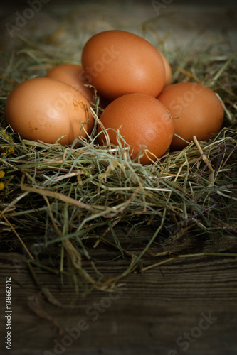 fresh eggs in a nest.
