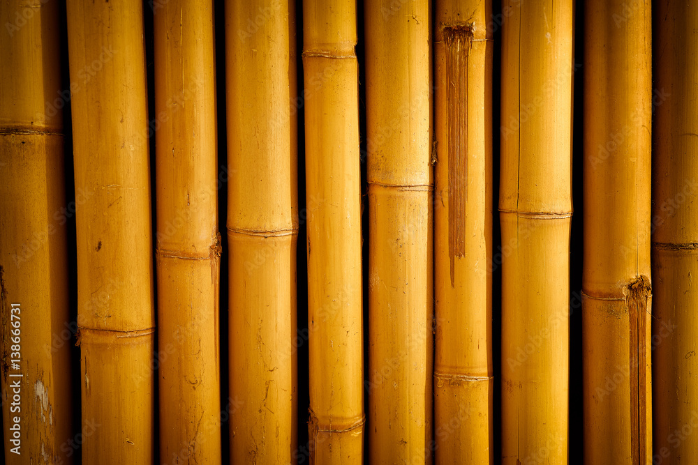 Fototapeta premium Yellow bamboo textured background.