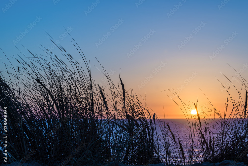 Sunset on atlantic ocean, beach grass silhouette in Lacanau France