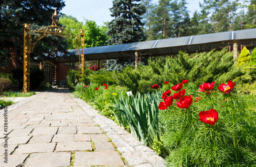 Tulips in the garden, landscape design. Tulips in the garden, landscape design.