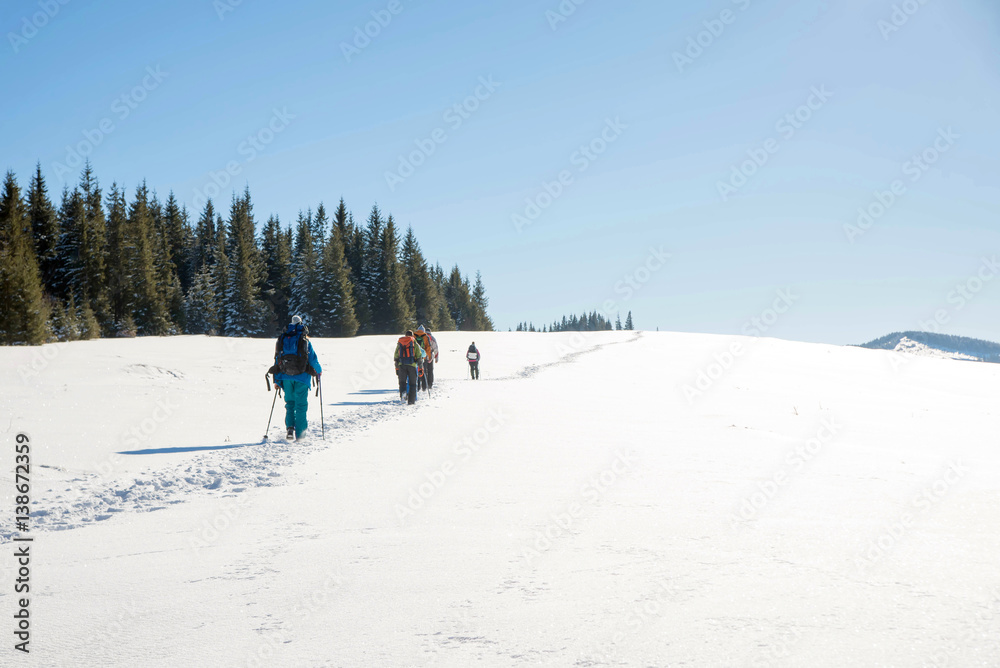 Team tourists hiking with backpacks rises snow-covered slopes on the mountain in winter Team tourists hiking with backpacks rises snow-covered slopes on the mountain in winter