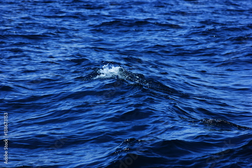 sea waves
