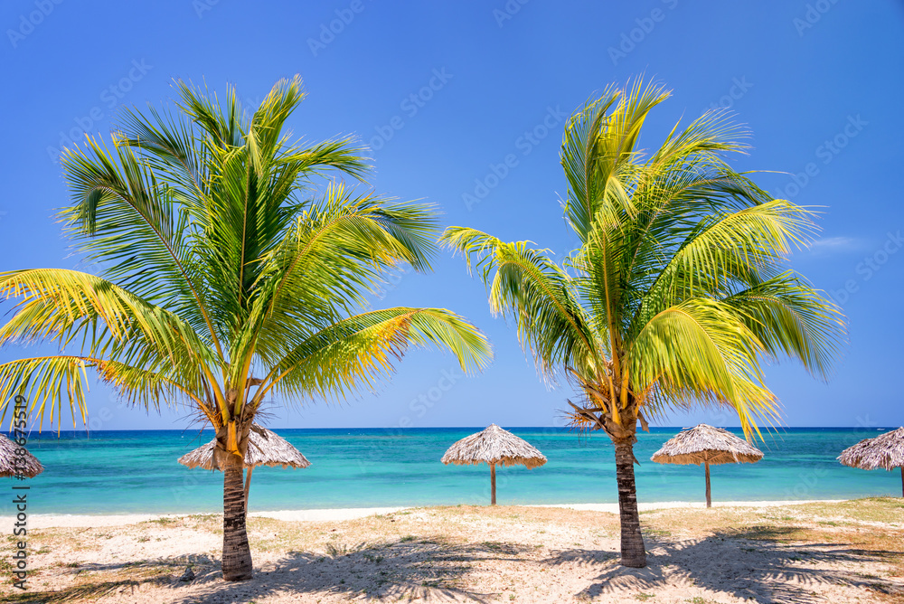 Straw umbrellas and palm trees on a beautiful tropical beach