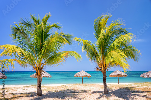 Straw umbrellas and palm trees on a beautiful tropical beach © Delphotostock