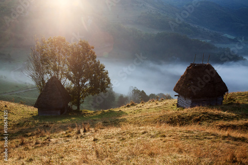 Canvas Print sheep farm in the mountains on foggy spring morning - Apuseni mountains, Transyl