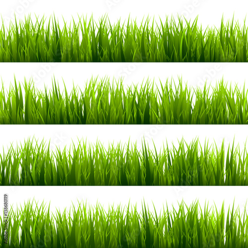 Grass isolated on white set. Green meadow. Nature background. Spring, summer time.