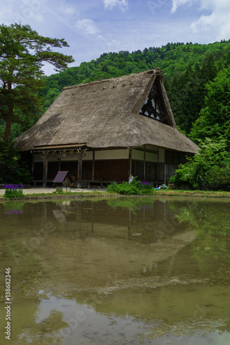 新緑の白川郷 Shirakawago