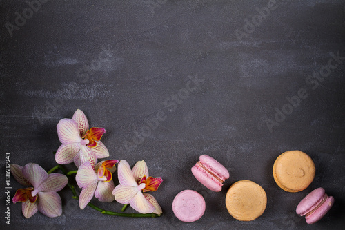 Orchids and cake macaron or macaroon on gray background from above. Flat lay  top view. Flower and cookie still life. Pastel colors  vintage card with copy space