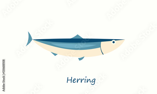herring fish isolated on white. vector cartoon image