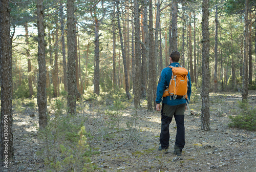 Hombre joven con mochila caminando en un bosque