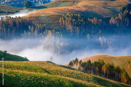 sheep farm in the mountains on foggy spring morning - Apuseni mountains  Transylvania