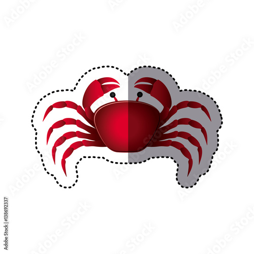 sticker colorful picture crab aquatic animal vector illustration