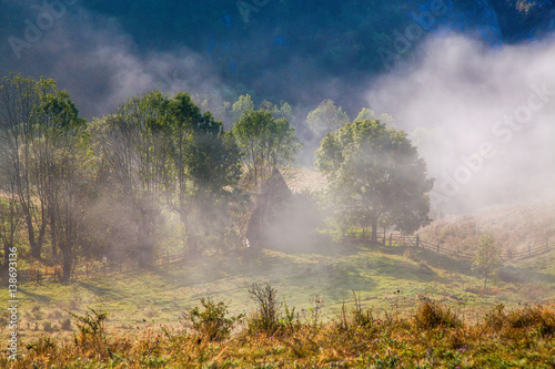 sheep farm in the mountains on foggy spring morning - Apuseni mountains, Transylvania