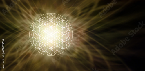 Illuminated Flower of Life Sepia Background - glowing soft focus circular flower of life symbol pattern on left side of a wide dark brown background with copy space on right 