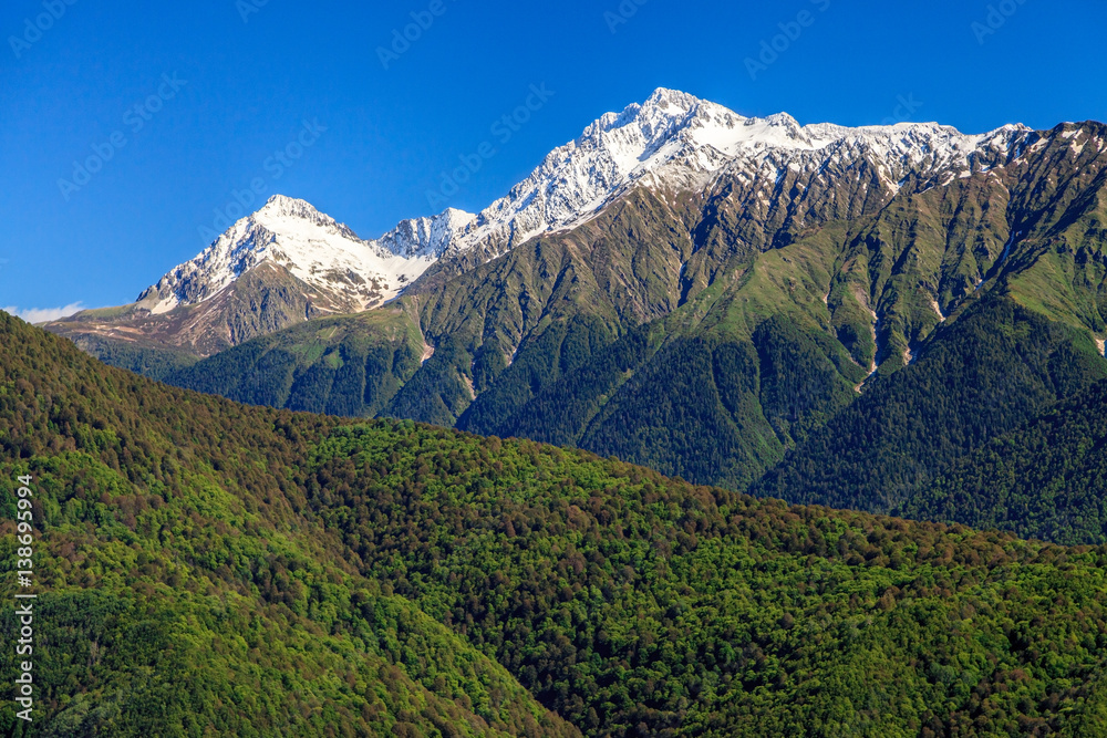 Beautiful scenic landscape of mountain peaks with snow caps in Caucasus mountains at late spring on sunny day with clear blue sky and fresh greenery forest