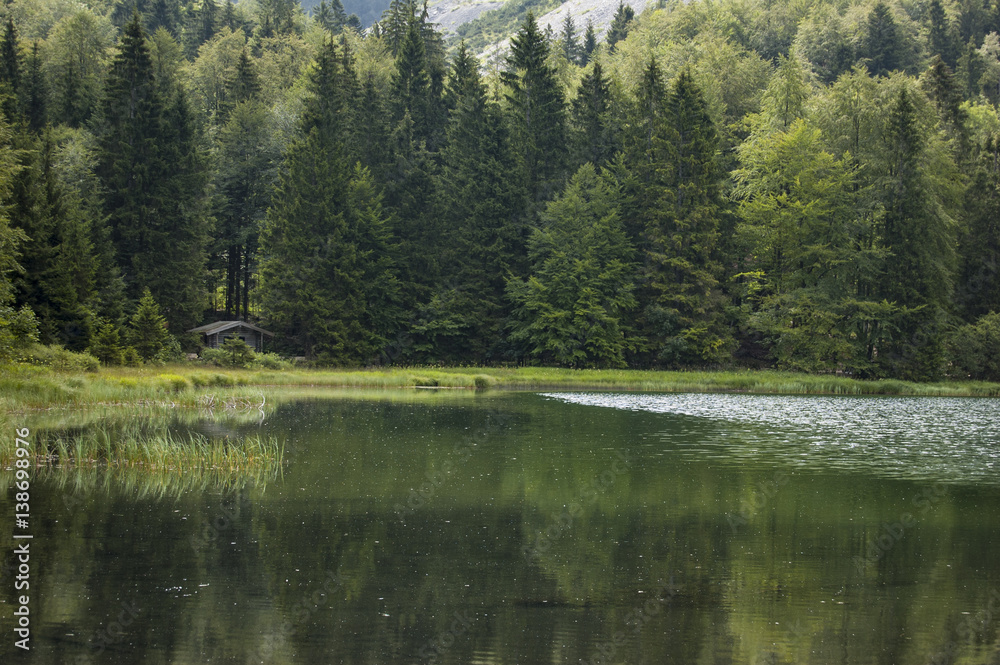 frillensee