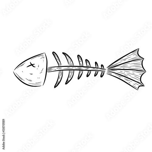 Fish bone, fish skeleton